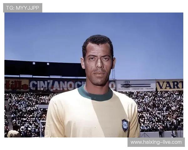 法国足球传奇：回顾曾经的星光璀璨与辉煌岁月