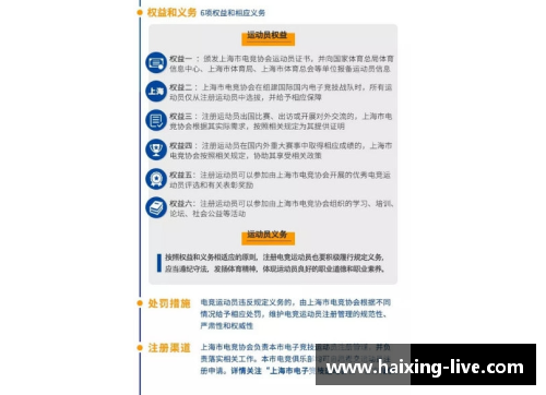 国家注册球员的标准与管理机制探讨