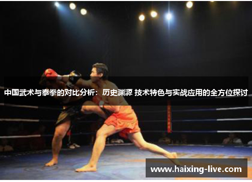 中国武术与泰拳的对比分析：历史渊源 技术特色与实战应用的全方位探讨